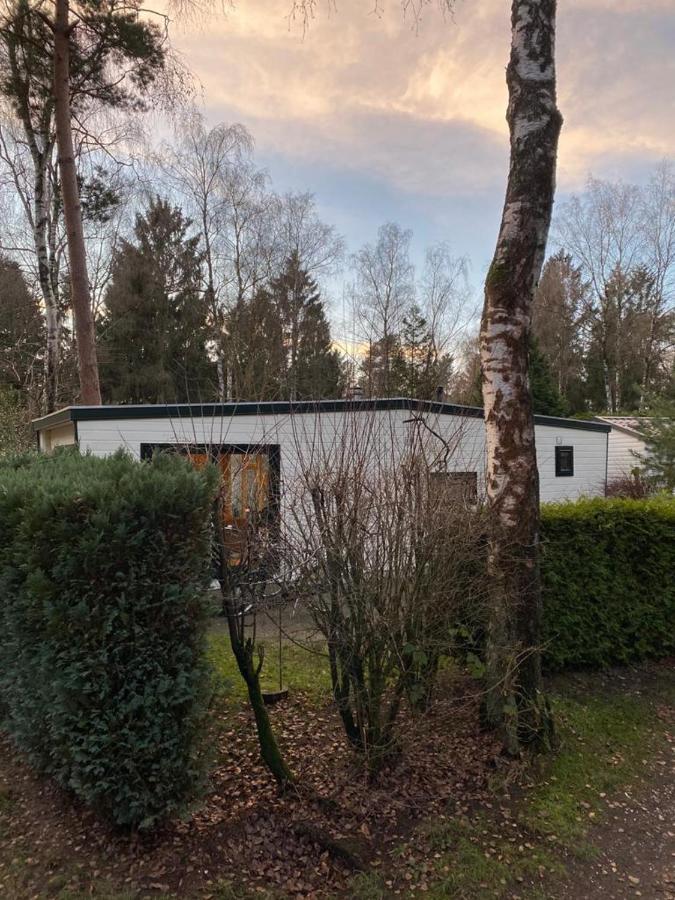 מלון Sfeervolle Chalet Op De Veluwe In הונדרלו מראה חיצוני תמונה